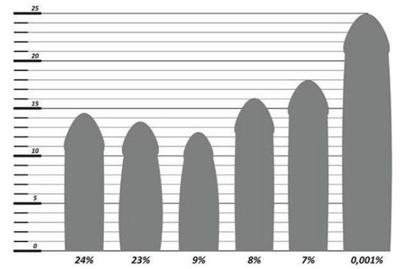 Dzimumlocekļa izmēra statistika
